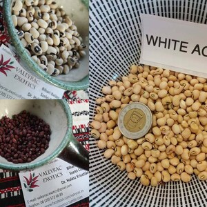 May include: Close-up of white and black beans in a bowl. The beans are small and round, and they are arranged in a random pattern. The bowl is white and has a black rim. The text "WHITE ACRE" is visible on a white card.
