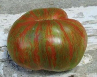 Large Barred Boar Tomato - 5+ seeds - P 291