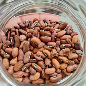 Può includere: Un barattolo di vetro pieno di fagioli rossi. I fagioli sono di colore rosso scuro con una striscia bianca al centro.