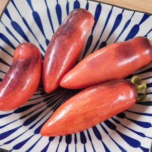 Op de afbeelding: Vier rode en paarse erfstuktomaten op een wit en blauw gepatroneerd bord. De tomaten zijn langwerpig en hebben een gladde, glanzende schil.