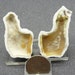 see more listings in the Fossils section