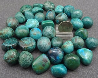 May include: A collection of tumbled green and blue chrysocolla stones, some with brown markings. The stones are various sizes and shapes, with a US quarter for scale.