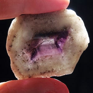 Trapiche Amethyst Polished slice, Brazil - Mineral Specimen for Sale