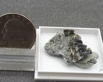 Lollingite, Rare Mineral, Germany - Mineral Specimen for Sale