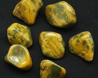 Polerowany kamień palmowy Sea Jasper, Madagaskar - okaz minerału na sprzedaż