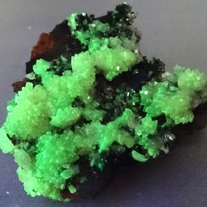May include: A mineral specimen featuring clusters of vibrant, neon green crystalline formations set against a dark, textured matrix. The jagged, pointed crystals exhibit a high-contrast appearance, with the bright green mineral contrasting against the deep black and reddish-brown base rock.