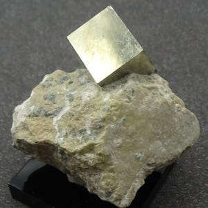 Golden Pyrite Cube on Matrix, Spain- Mineral Specimen for Sale