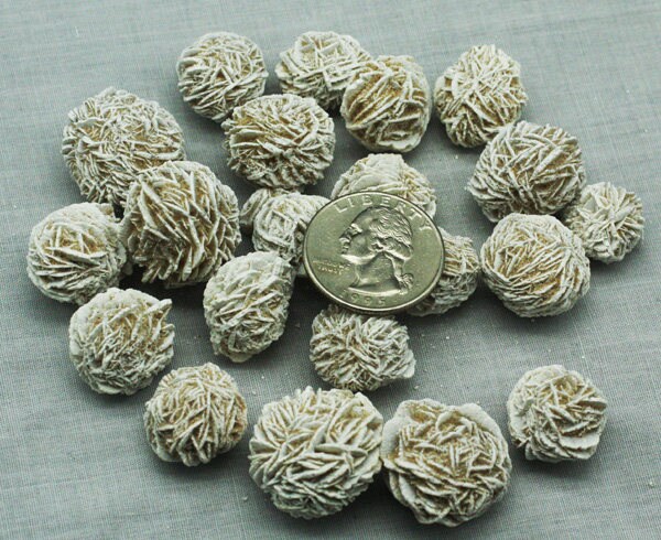 ONE Gypsum 'Desert Rose' from Mexico, Mineral Specimen for Sale
