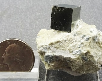 Golden Pyrite Cube on Matrix, Spain- Mineral Specimen for Sale