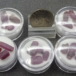 May include: Six small clear plastic containers with lids, each containing a collection of pink ruby crystals. The containers are arranged in two rows of three, with a US quarter dollar coin for scale in the center.