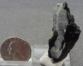 Lustrous black Dravite Tourmaline crystals on Smoky Quartz, Mexico  Mineral Specimen for Sale