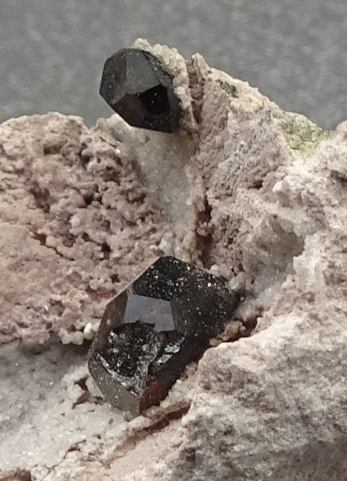 Almandine Garnet in Rhyolite Nevada Mineral Specimen for - Etsy