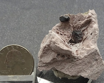 Almandine Granaat in ryoliet, Nevada- Mineraal specimen te koop
