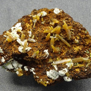 Wulfenite crystals with Gypsum, Mexico - Mineral Specimen for Sale