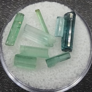 ONE &#39;Gem Round&#39; of blue-green Elbaite Tourmaline Crystals, Pakistan  - Minerals for Sale