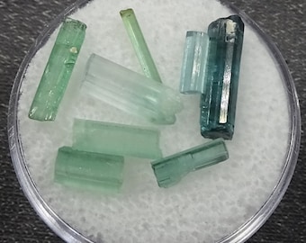 ONE 'Gem Round' of blue-green Elbaite Tourmaline Crystals, Pakistan  - Minerals for Sale