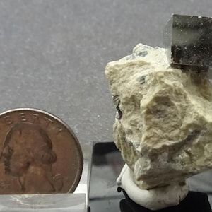 Golden Pyrite Cube on Matrix, Spain- Mineral Specimen for Sale