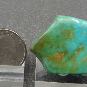 Polished Turquoise Nugget, Mexico Mineral Specimen for Sale image 1