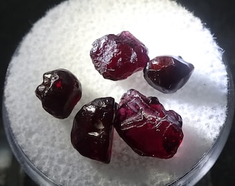 ONE 'Gem Round' of 'Ant Hill' Garnets, Arizona  - Minerals for Sale