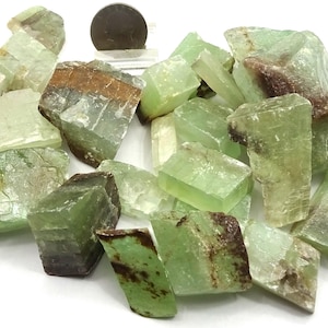 May include: A collection of raw, pale green calcite crystal chunks with translucent surfaces and brown mineral inclusions, displayed alongside a single US coin for scale to provide a clear visual reference for the size of the stones.