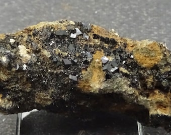 Melanite (Andradite) Garnet Crystals, California - Mineral Specimen for Sale