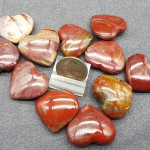 ONE Polished Petrified Wood Heart - Mineral Specimens/Gemstones for Sale