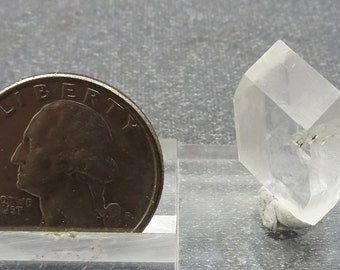 Clear Selenite Gypsum Crystal, Mexico- Mineral Specimen for Sale