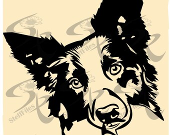 Download Mandala Collie Svg Etsy