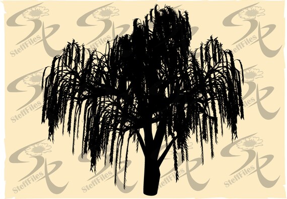 TREE WILLOW SVG silhouette dxf eps ai png jpg clipart | Etsy