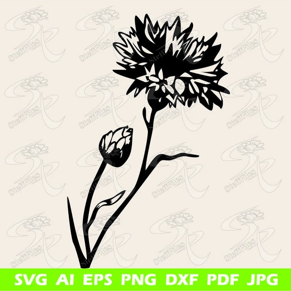 Kornblume Schönes Blau, Kornblume svg, Kornblume Bild Silhouette, dxf, ai, png, eps, jpg, Download, Kunstdruck, grafisch