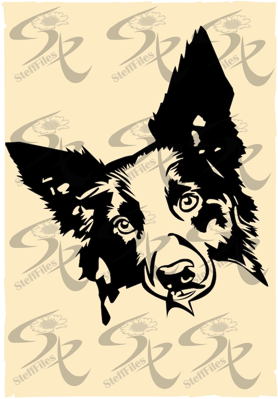 Download Border Collie Head Vector Dogborder Collie Svg Puppy Svg Etsy