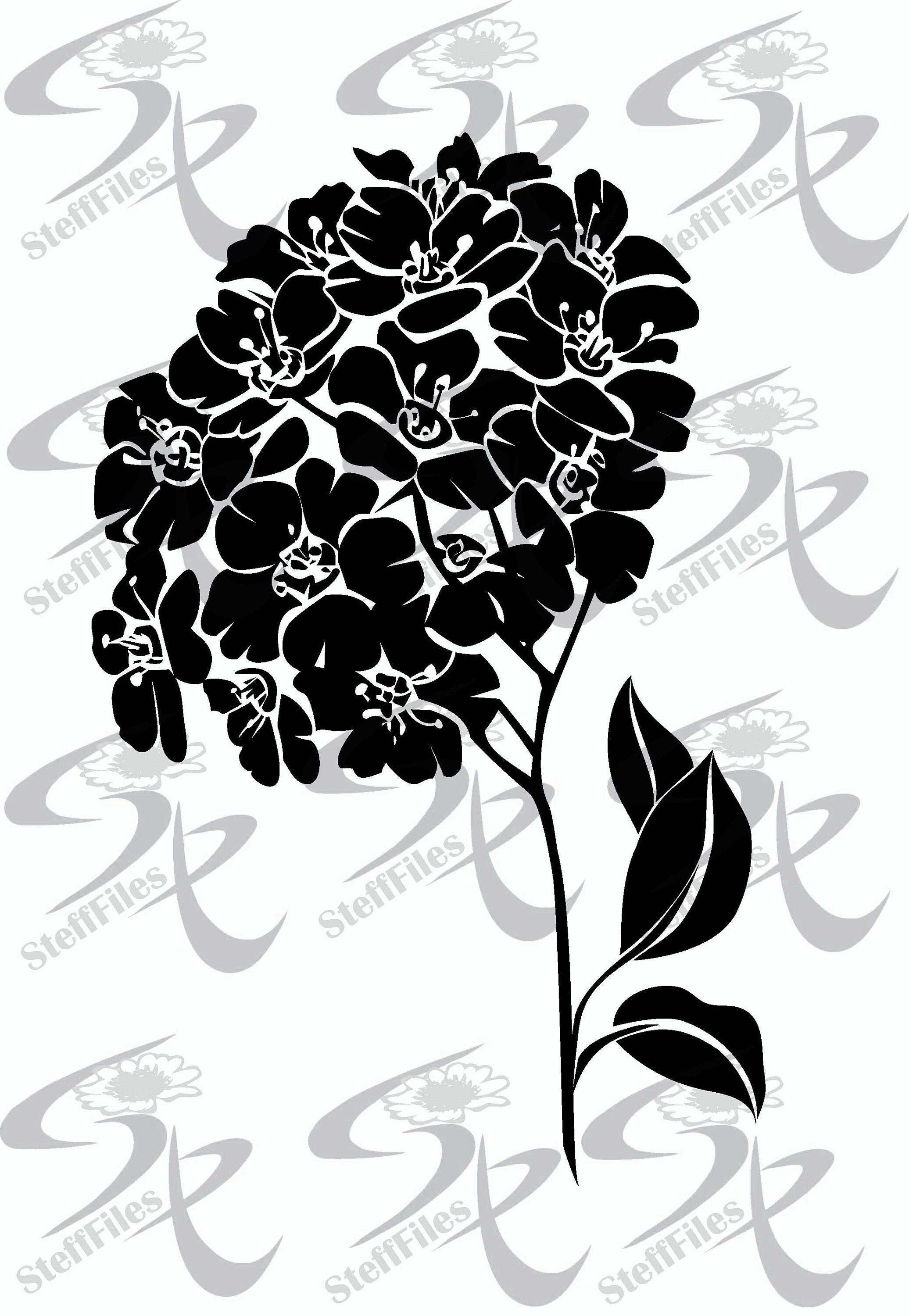 HYDRANGEA SVG FLOWERS Dxf Clipartai Png Eps Jpg - Etsy