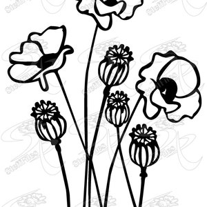 POPPY FLOWERS SVG, Poppy clipart, Poppy Vector, Poppy dxf, ai, Poppy png, eps, jpg, Download files, Digital, graphical, silhouette