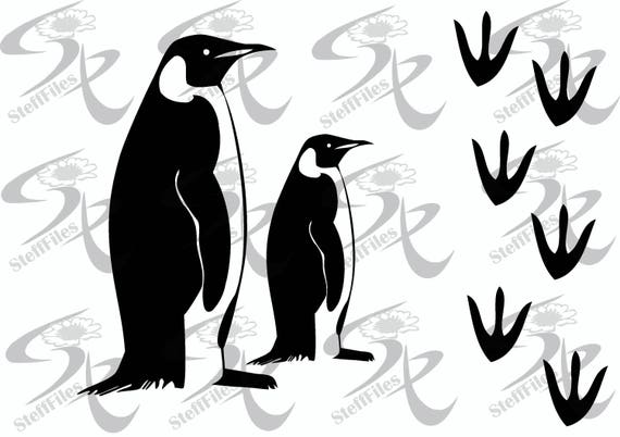 Vector Penguin Steps Traces Varioussvgdxfai Png Eps Etsy