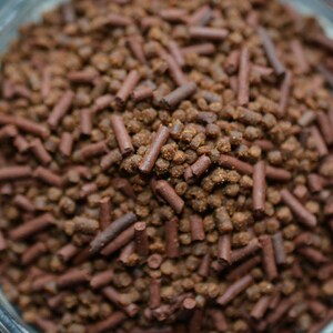 May include: A close-up of a bowl filled with brown sprinkles. The sprinkles are a mix of small, round pieces and longer, thin pieces.