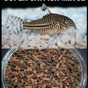 SUPER CATFISH MIX #2 with Soft Bits, ABF80N- Heat Sealed for Freshness - We Ship Within 24Hrs