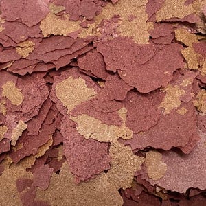 ABF Gourmet Small Beefheart & Blackworm Fish Flake Mix, Angel Fish, Discus, Beef Heart Flake,ABF381