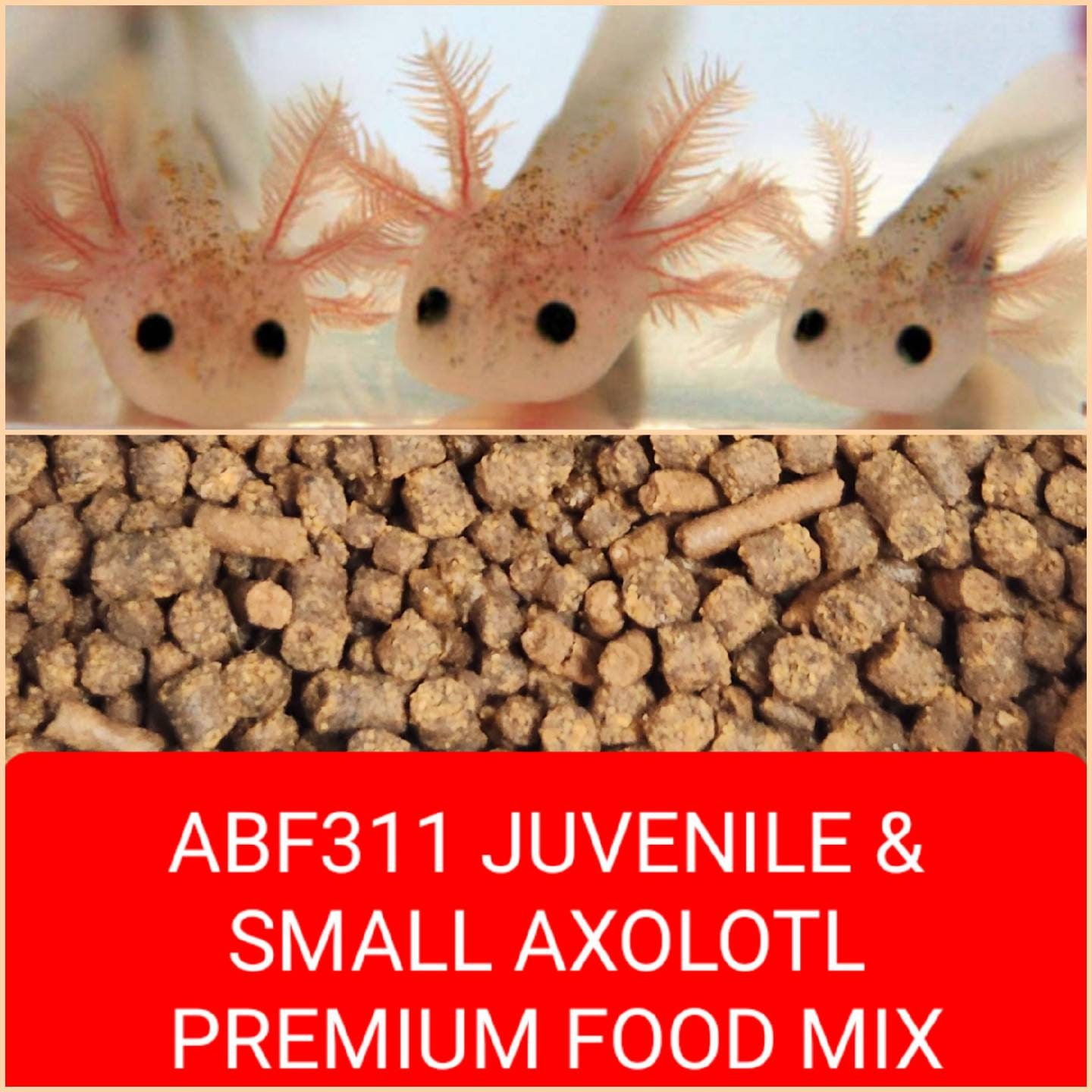 ABF ADULT AXOLOTL FOOD MIX, 4.0 SOFT BITS & BLACKWORM  STICKS,Rangen,ABF118XL