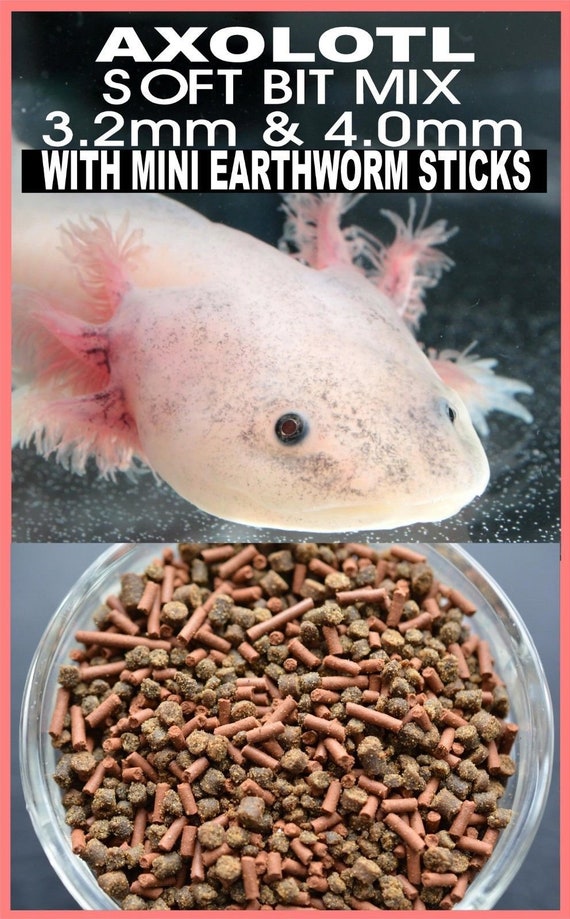 ABF Gourmet Axolotl Food MIX 3.2mm & 4.0mm Soft Bits and Earthworm Mini  Sticks ABF103 Free Axolotl Gift With Purchase 