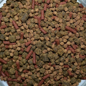 May include: Close-up of fish food pellets in a clear glass bowl. The pellets are a mix of brown, dark brown, and reddish-brown colors. The food is a mix of round and cylindrical shapes, suggesting a balanced diet for aquatic pets.