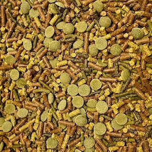 May include: A close-up of a mixture of brown and green fish food pellets. The pellets are of various shapes and sizes, including small cylinders and larger discs.