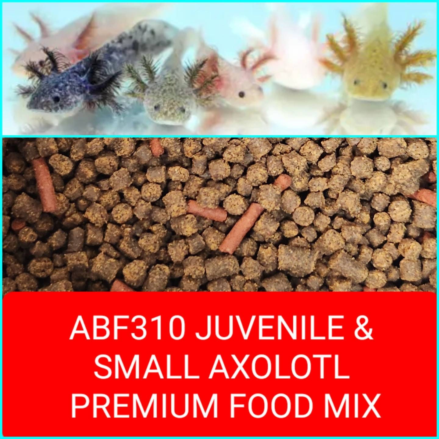 ABF AXOLOTL FOOD Mix, Soft Bits & Bloodworm,Earthworm Mini Sticks