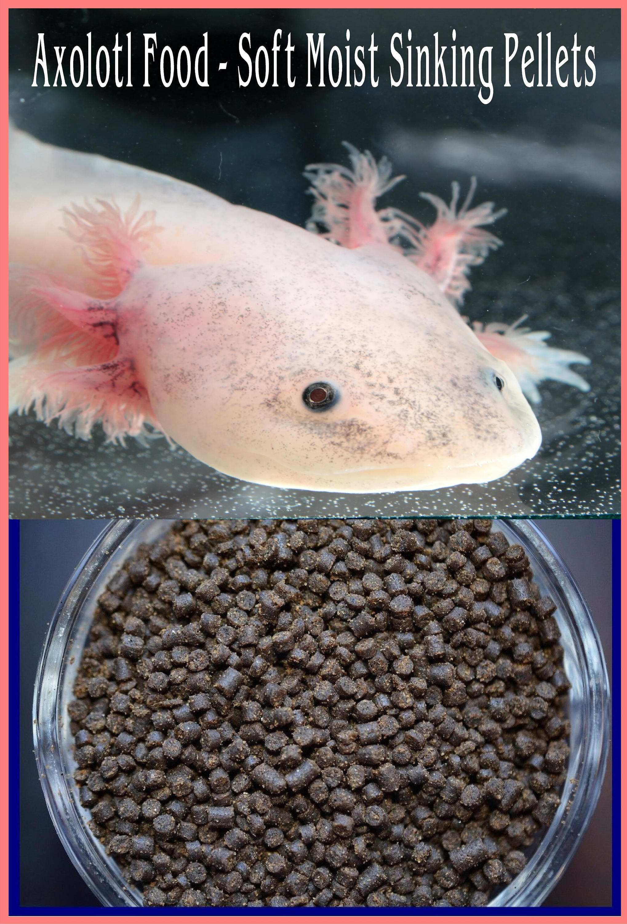 ABF311 Juvenile,small Axolotl Food Mix Soft Bits 2.4,3.2,mini  Multiworm,krill 2.0,heat Sealed,ship in 24hrs,free Axolotl Gift W/ Purchase  