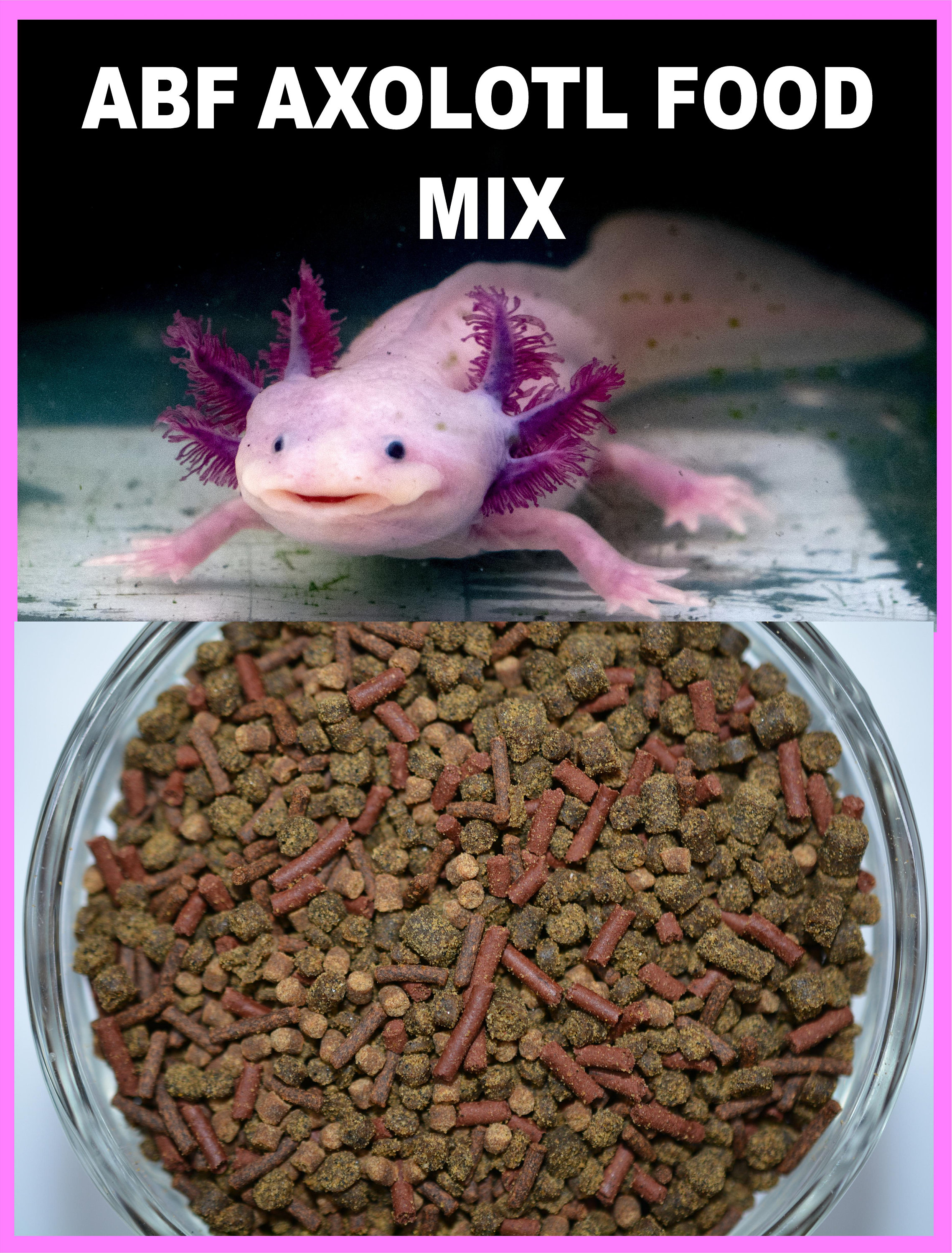 ABF Gourmet Axolotl Soft Food Pellets 3.2mm Heat Sealed For Freshness ABF4  Free Axolotl Gift with Purchase We Ship Within 24Hrs -  France