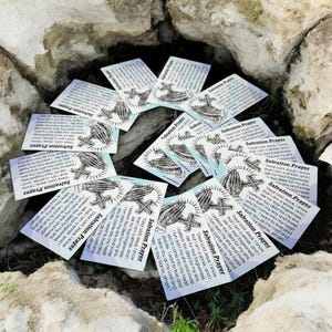 May include: A pile of white cards with a blue and white background. The cards have a black and white illustration of praying hands with a cross. The text on the cards reads "Salvation Prayer" and includes a prayer for forgiveness and salvation.