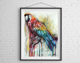 Parrot Artwork Print
