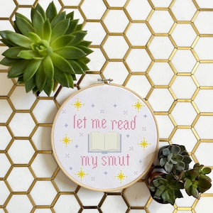 Kit- Let Me Read My Smut Cross Stitch, booktok, romantasy, romance, reading, library, gift for friend, sister, housewarming, fantasy, magic