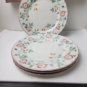 Churchill Biar Rose Dinner Plates 10&quot; Set of 4