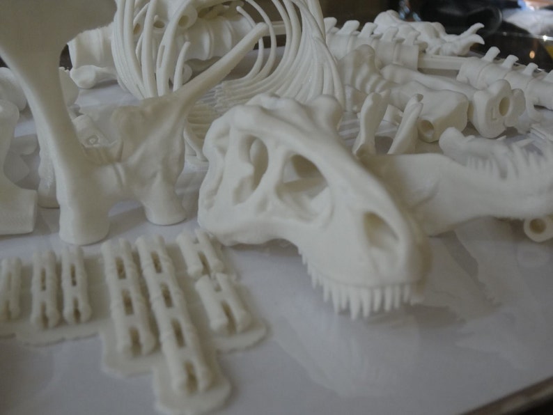 t rex skeleton kit