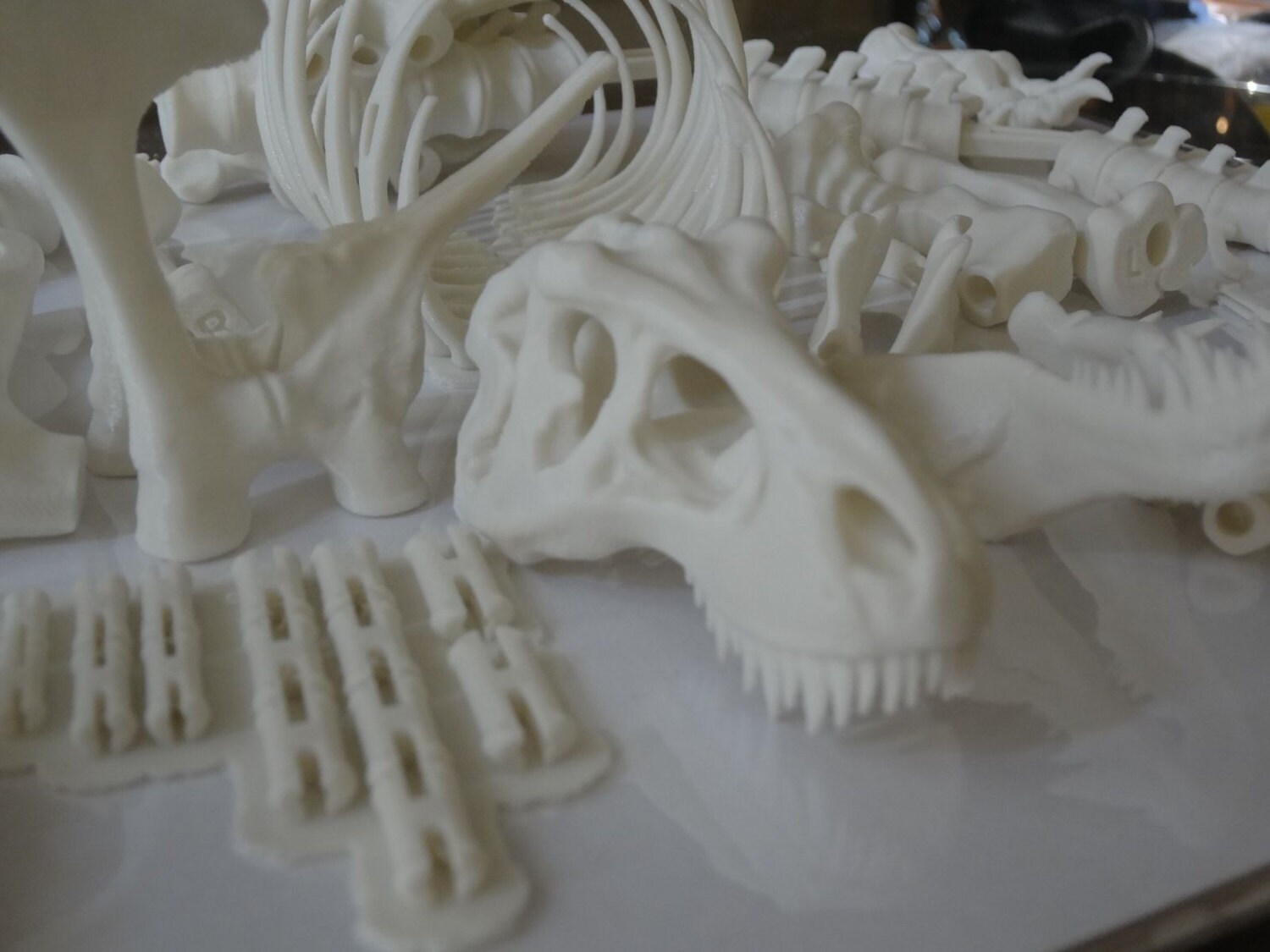 3d printed t rex skeleton
